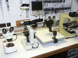 Amateur_Microscopy_Laboratory_-_Microscopes